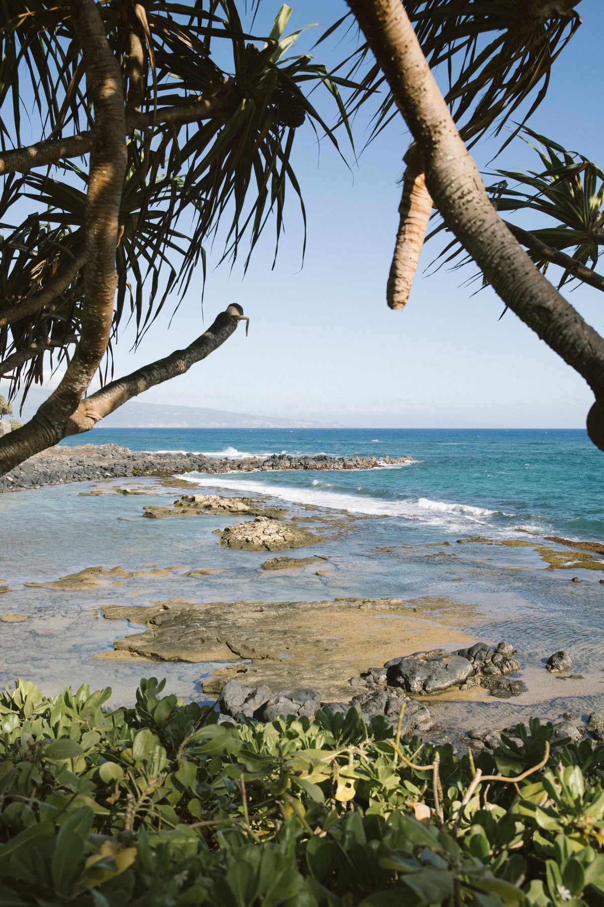 A Maui Guide