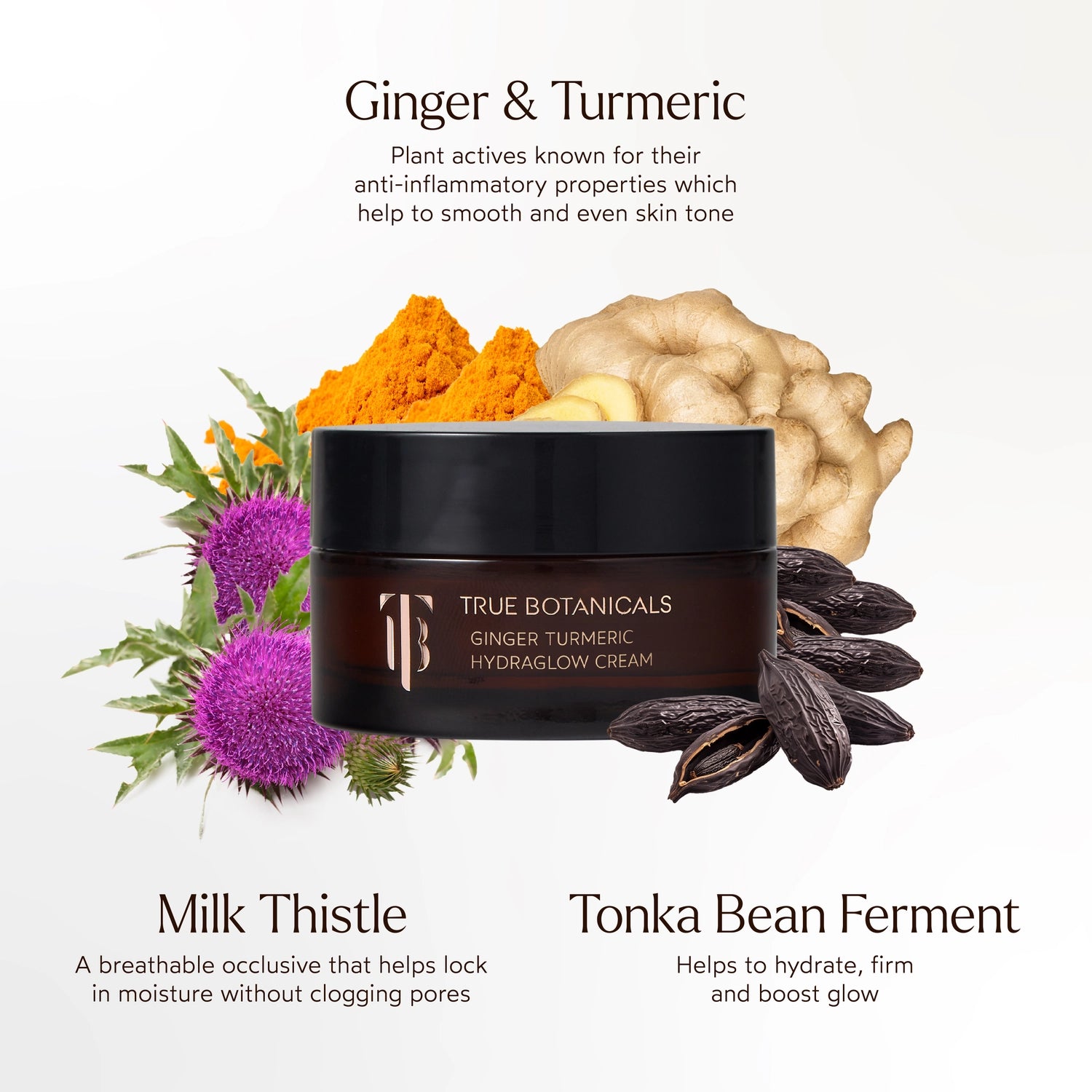 Ginger Turmeric Hydraglow Cream